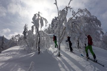 Skier au Japon