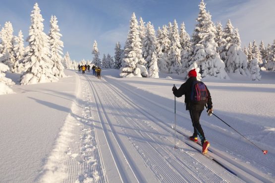 Les meilleurs skis de fond 2024