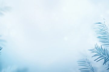 Tendances vestes Automne-Hiver