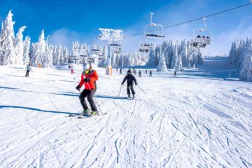 Quels sont les niveaux en ski ?