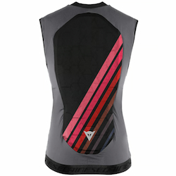 Protection dorsale de la marque Dainese