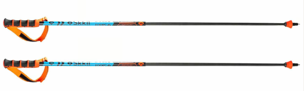 Bâtons de ski  Vortex World Cup Gs Skiil
